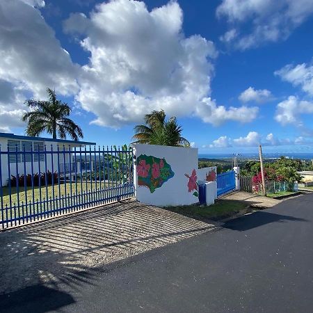 Million Dollar View In Puerto Rico Villa Luquillo Bagian luar foto