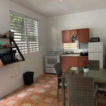 Million Dollar View In Puerto Rico Villa Luquillo Bagian luar foto