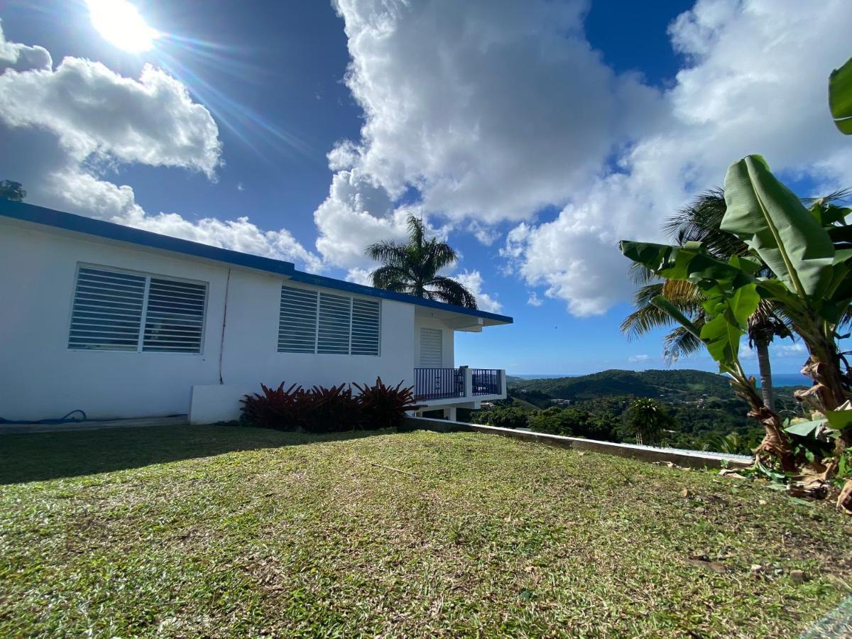 Million Dollar View In Puerto Rico Villa Luquillo Bagian luar foto