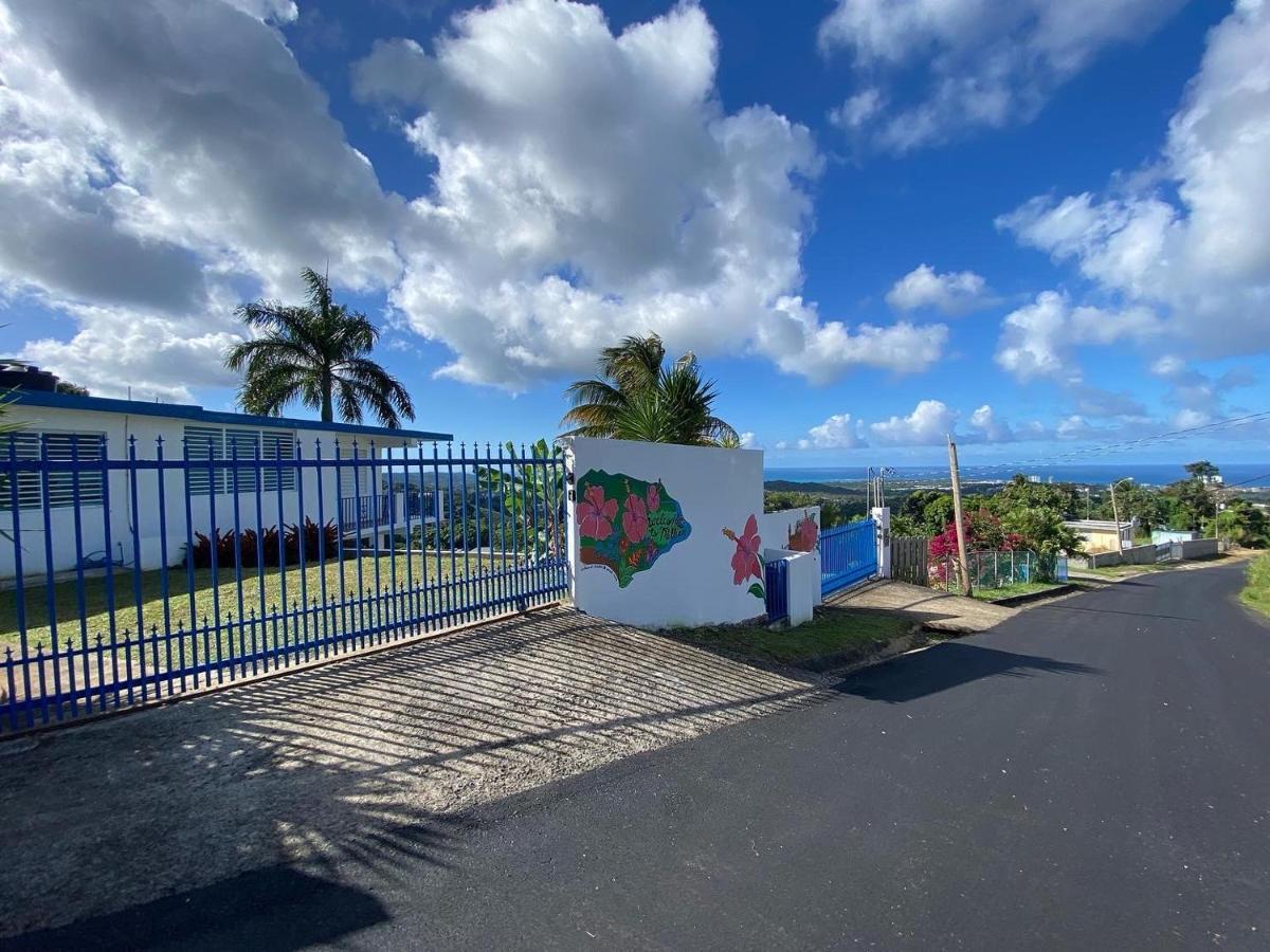 Million Dollar View In Puerto Rico Villa Luquillo Bagian luar foto