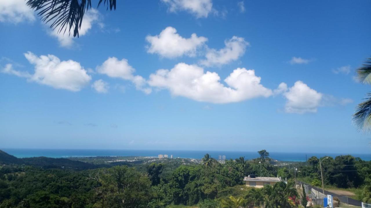 Million Dollar View In Puerto Rico Villa Luquillo Bagian luar foto