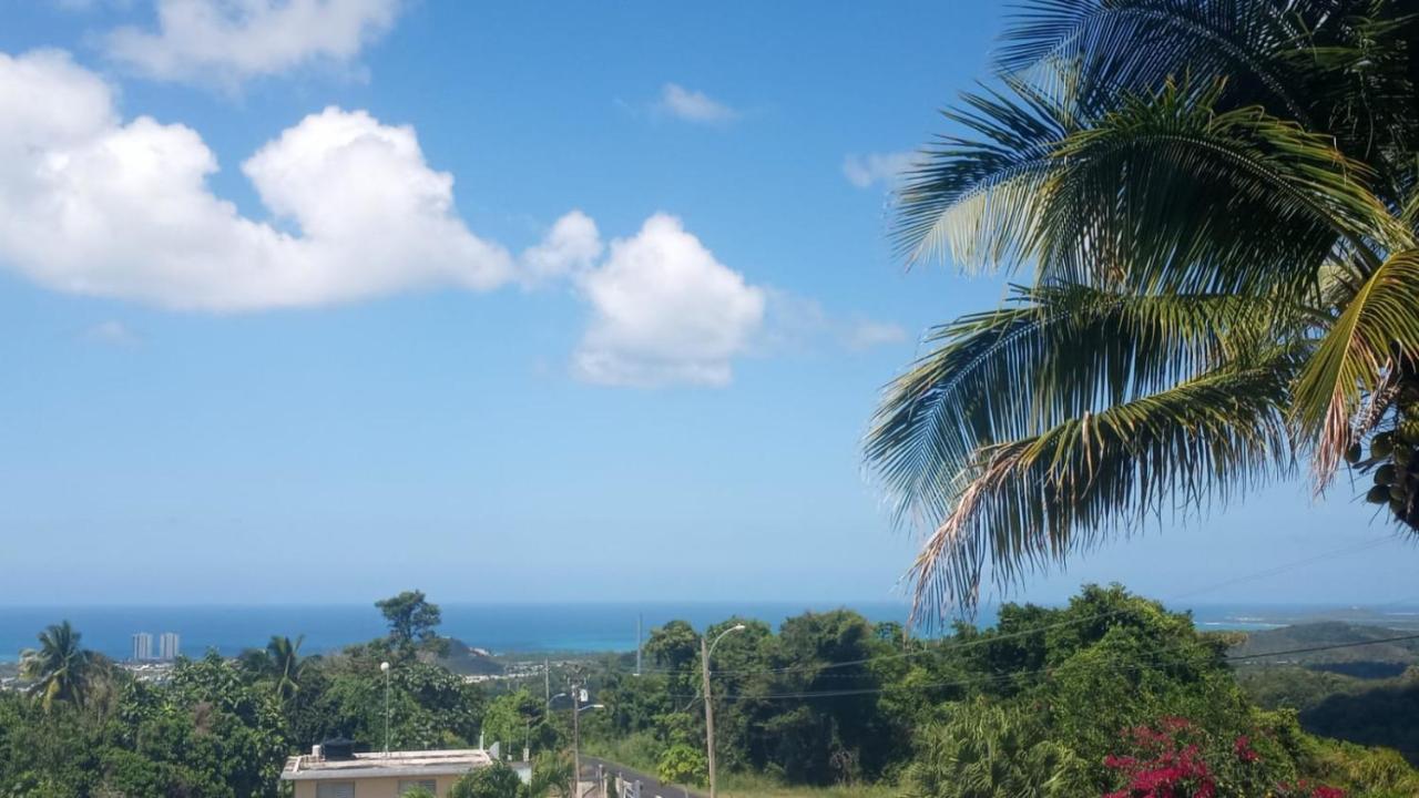 Million Dollar View In Puerto Rico Villa Luquillo Bagian luar foto