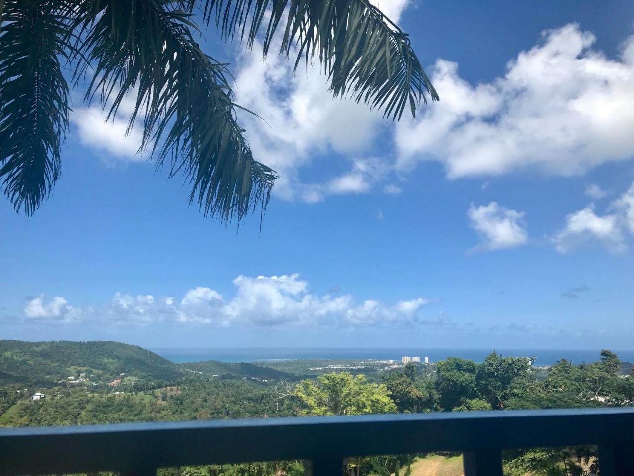 Million Dollar View In Puerto Rico Villa Luquillo Bagian luar foto