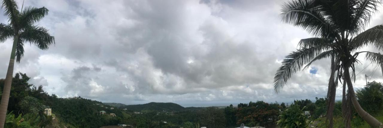Million Dollar View In Puerto Rico Villa Luquillo Bagian luar foto