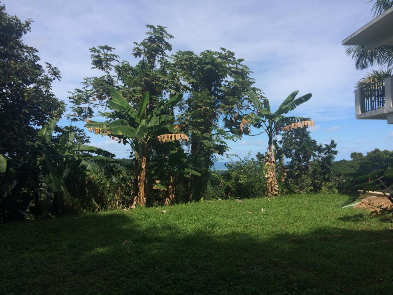 Million Dollar View In Puerto Rico Villa Luquillo Bagian luar foto